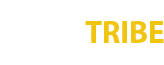 IgniteTribe Marketing